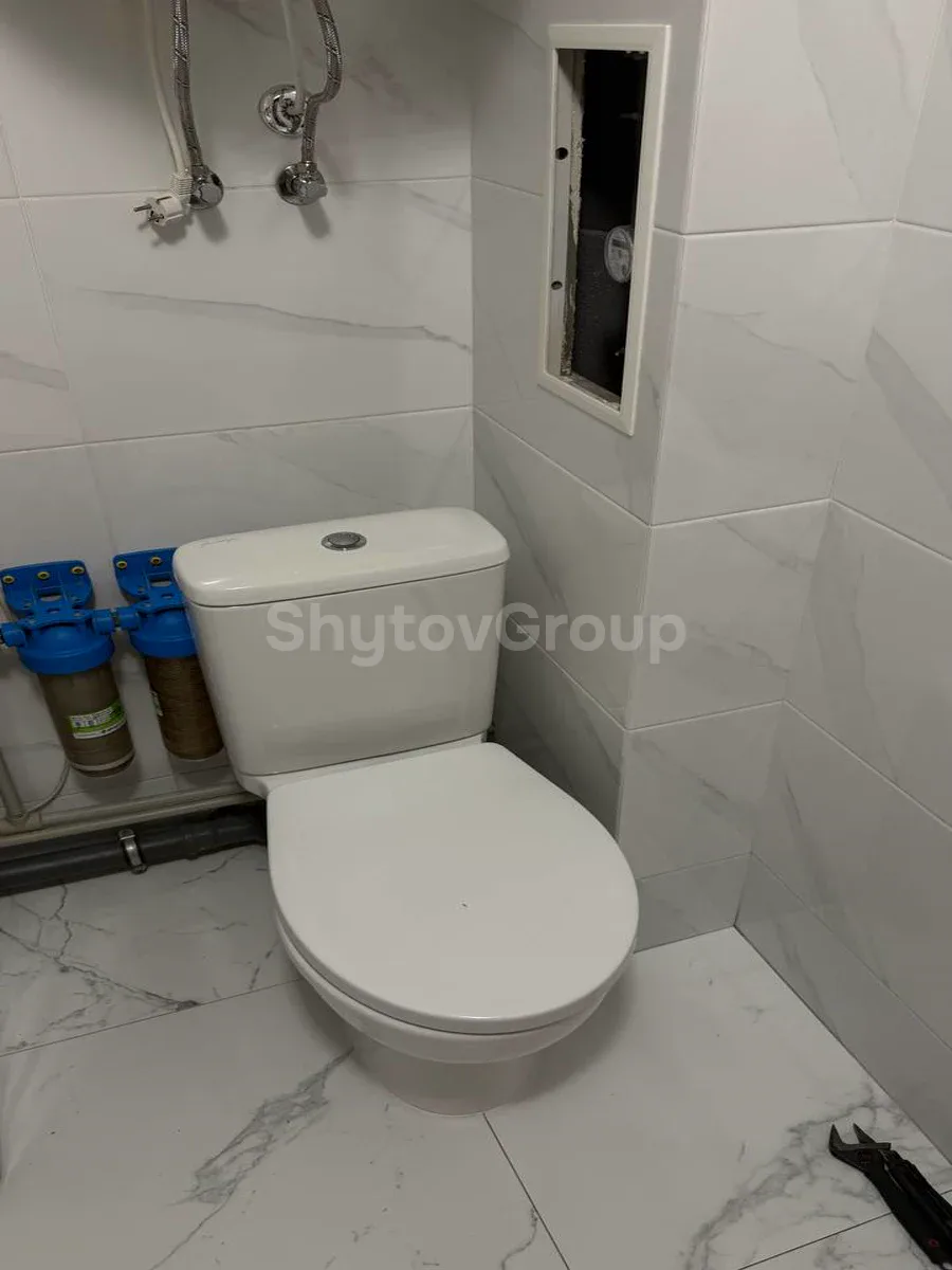Санвузол: фільтри на вводі й унітаз — виконано майстром ShytovGroup